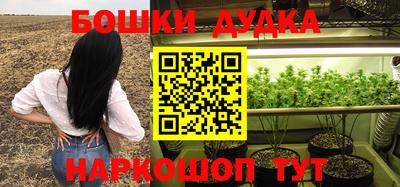 индика Чебаркуль