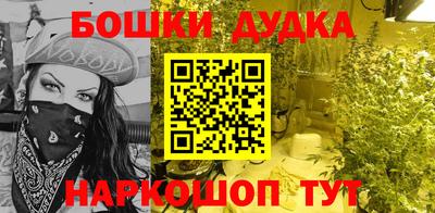 индика Чебаркуль
